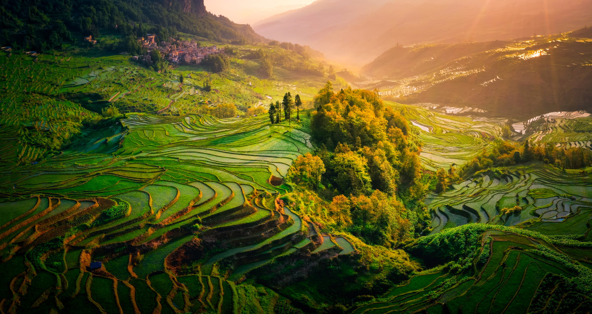 Yuanyang Terraces
