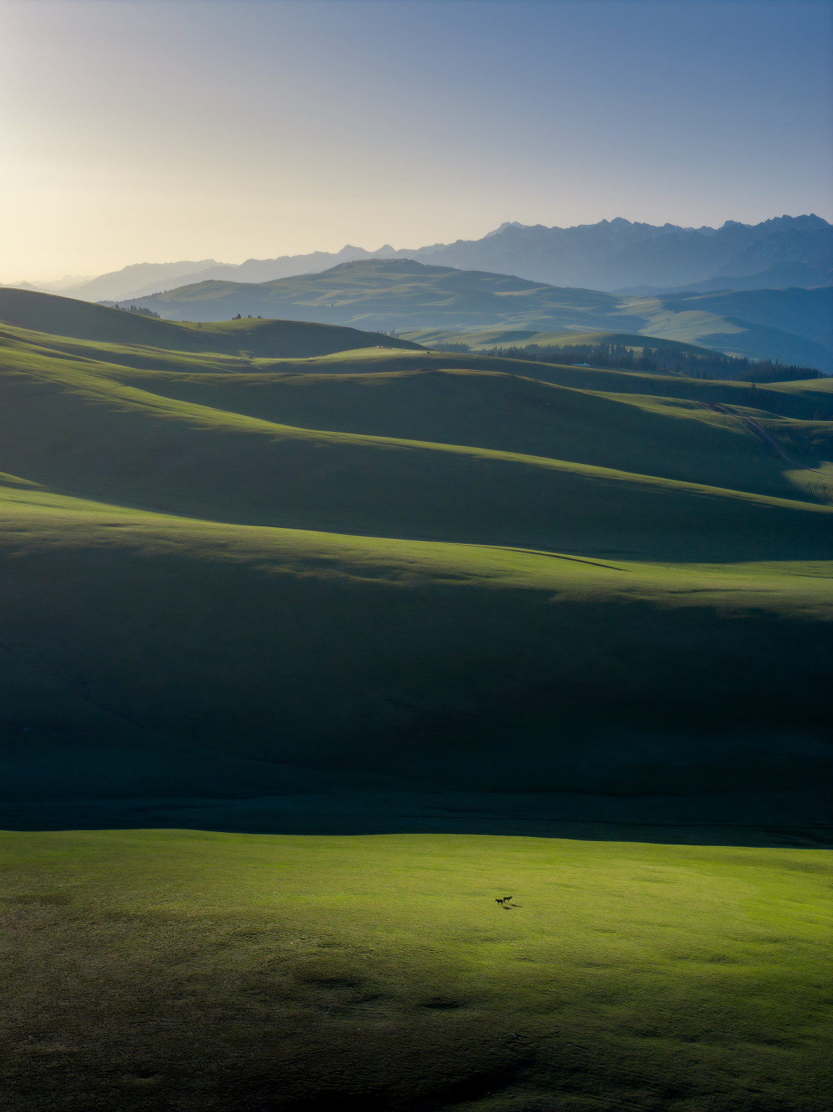 喀拉峻人体草原