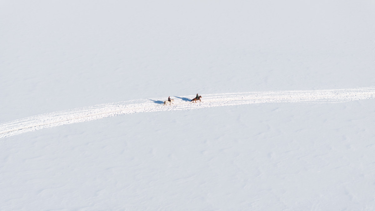 雪域驰骋