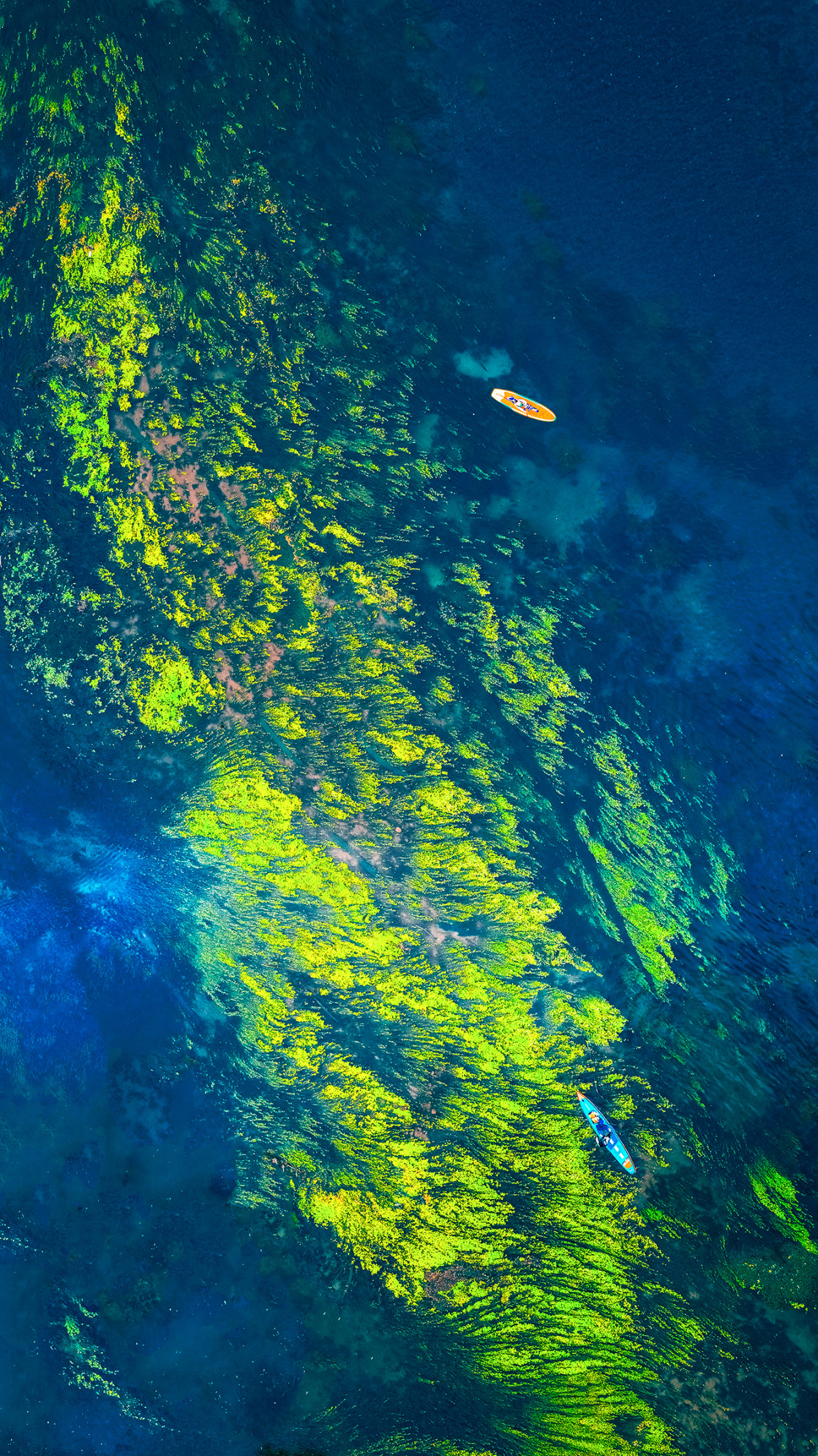 【这里是宜春】：靖安桨板玩水