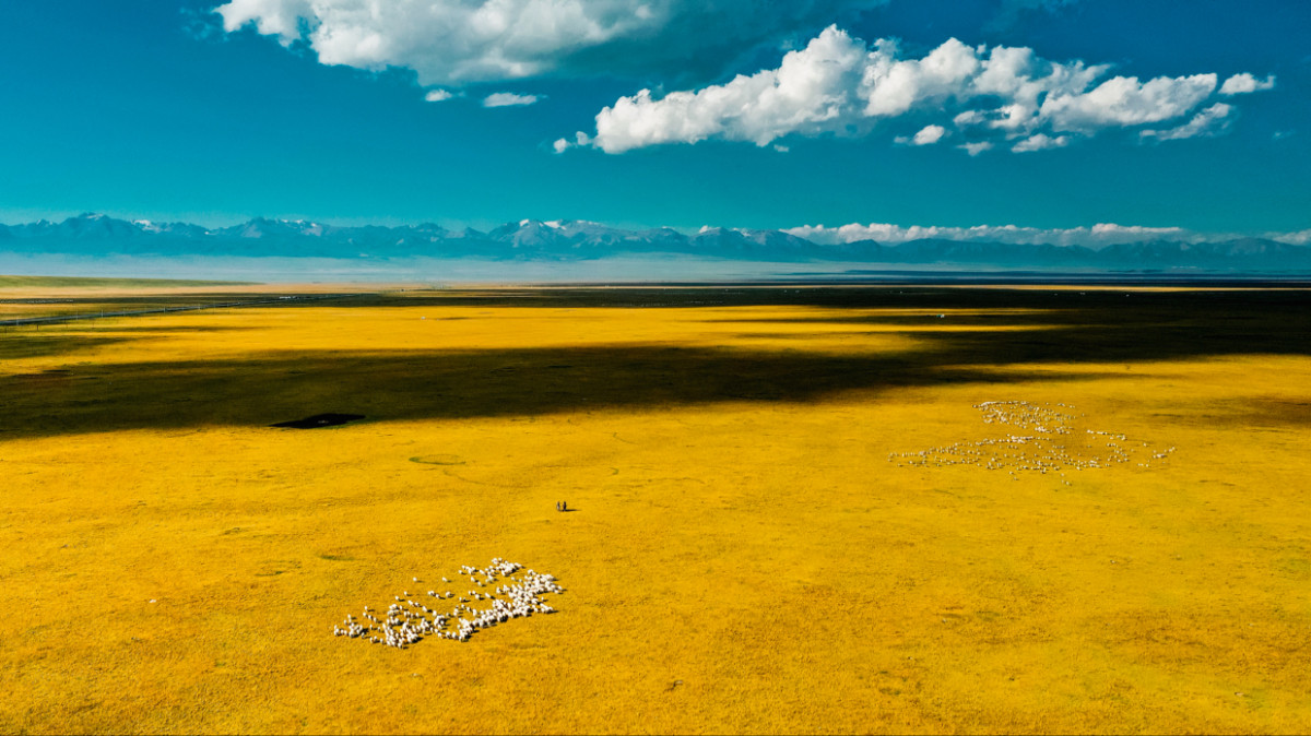 Bayinbuluk wetland grassland Scenic Area