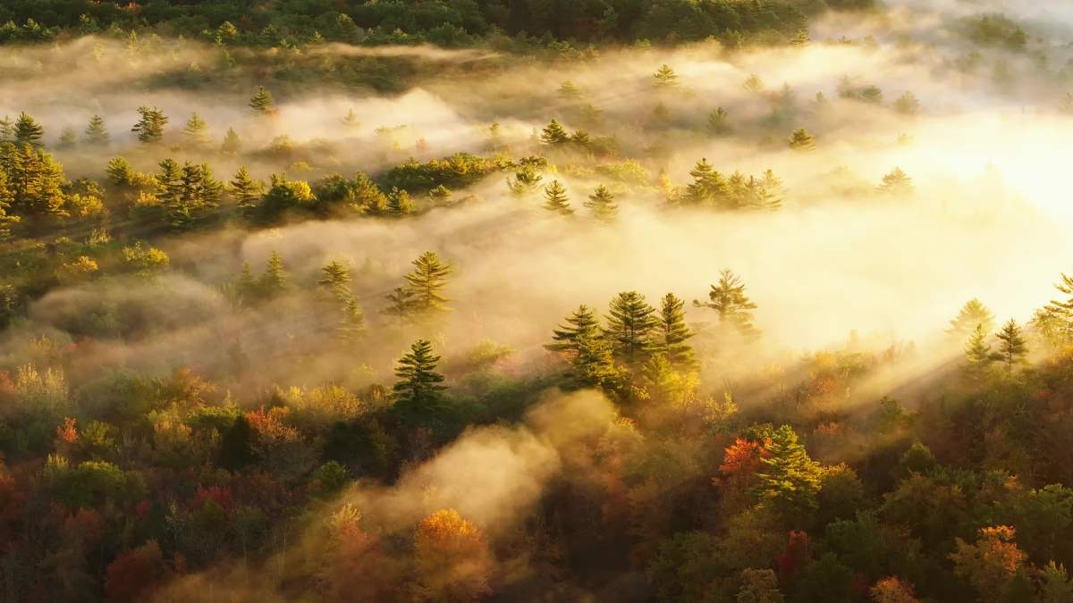 Autumn in New England