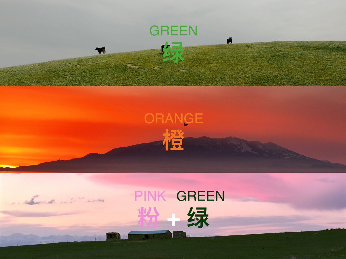 那些我拍到的有意思的瞬间。